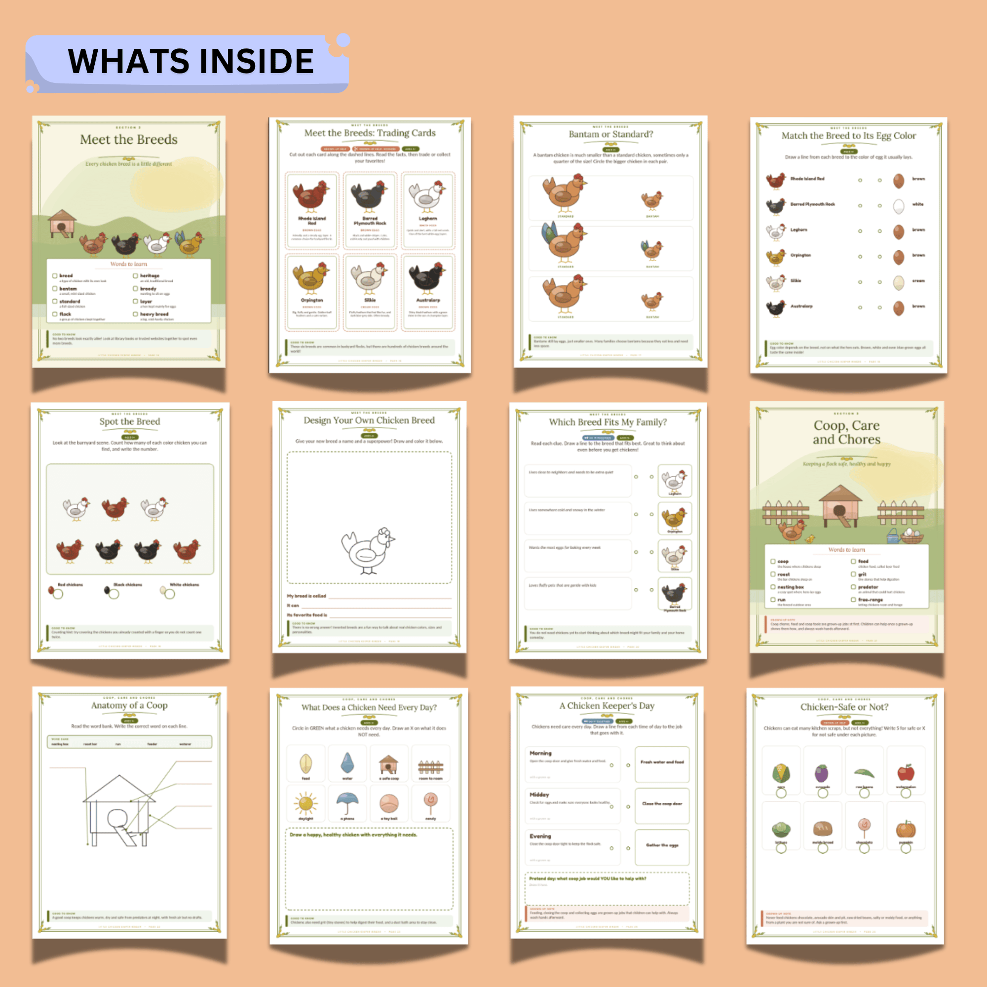 Little Chicken Keeper Activity Binder – 48-Page Chicken Care & Farm Animal Printable Workbook 3 Little Chicken Keeper Activity Binder – 48-Page Chicken Care & Farm Animal Printable Workbook - Image 3