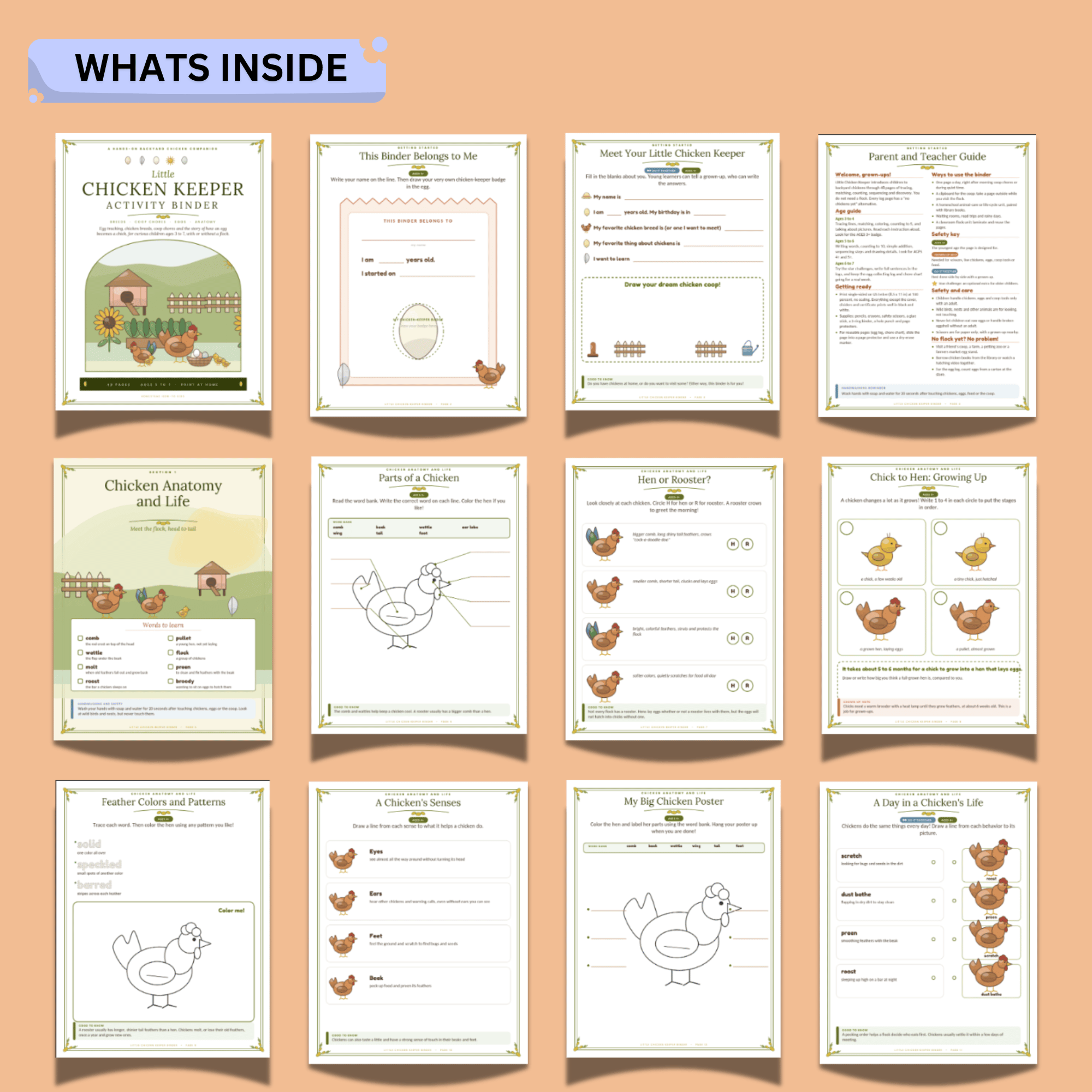 Little Chicken Keeper Activity Binder – 48-Page Chicken Care & Farm Animal Printable Workbook 4 Little Chicken Keeper Activity Binder – 48-Page Chicken Care & Farm Animal Printable Workbook - Image 4