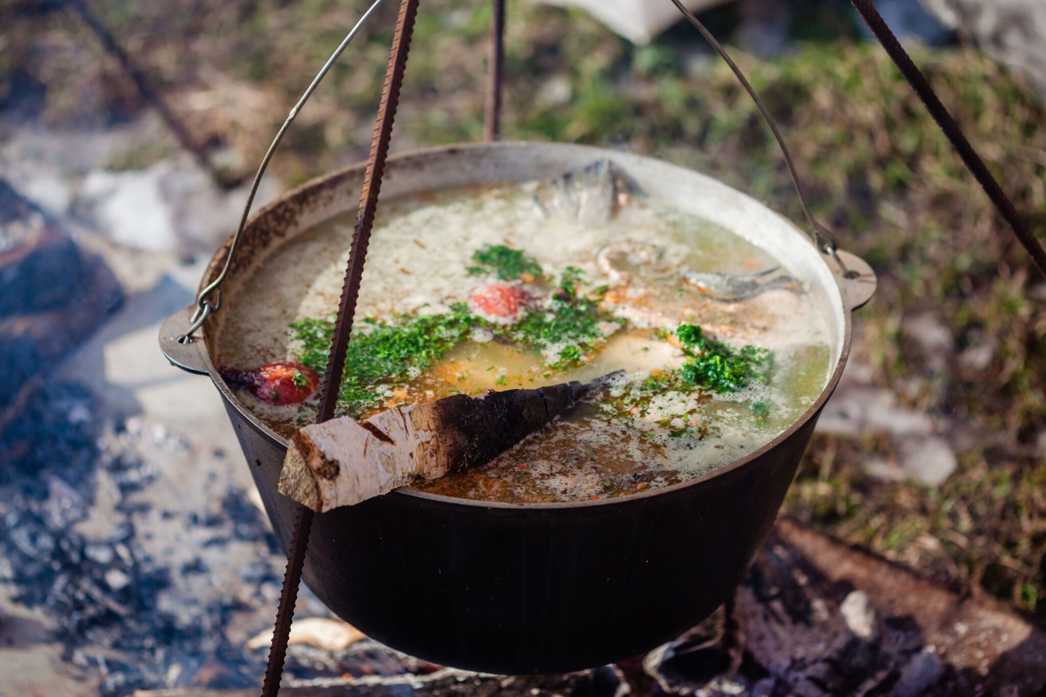 Make Bone Broth