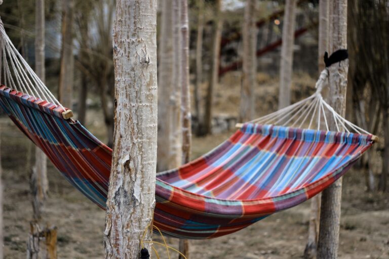 Hang a Hammock